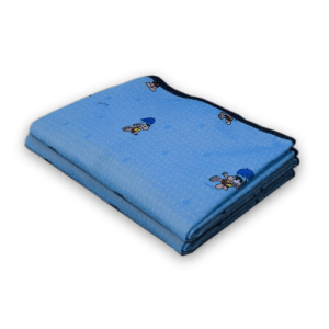 2 Tapetes Cascão na Chuva